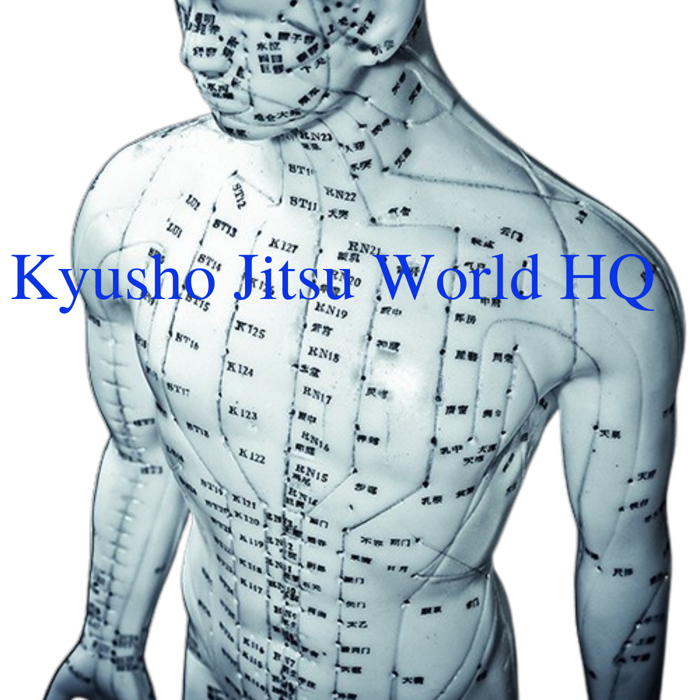 *Kyusho Jitsu World HQ