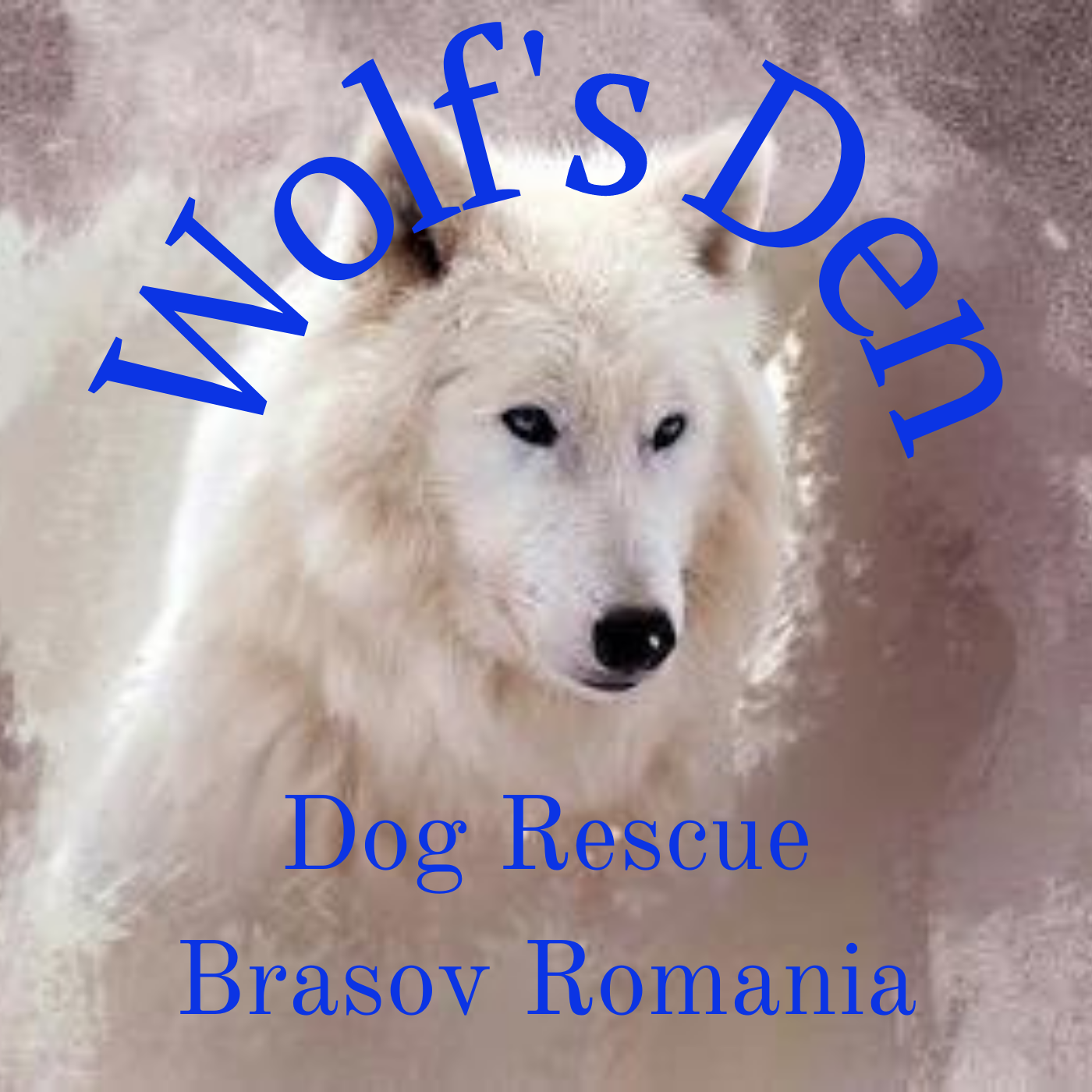 Wolfs Den Dog Rescue